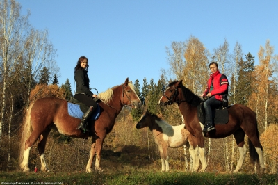 Конные прогулки в Шуваловском парке_38