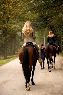 Экскурсии на лошадях_2