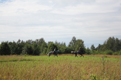 Конные прогулки в Шуваловском парке_4