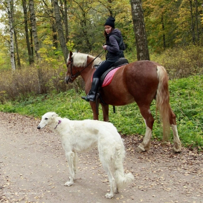 Конные прогулки в Шуваловском парке_5
