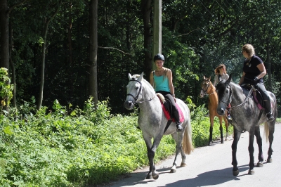 Конные прогулки в Шуваловском парке_37