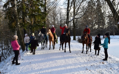 Конные прогулки в Шуваловском парке_39