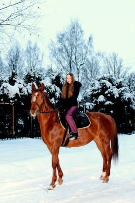 Лошади зимой_2