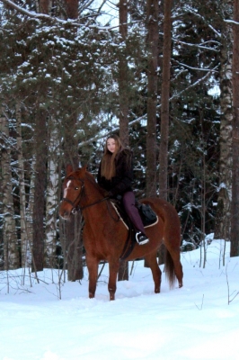 Лошади зимой_7